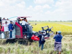 Panen Raya di Kanyuara, Syaharuddin Paparkan Program Listrik Masuk Sawah