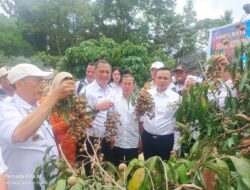 Panen Kelengkeng New Cristal, Bupati H.Yusran Akbar : Kelengkeng dapat Menciptakan Potensi Ekonomi Baru Kabupaten Konawe