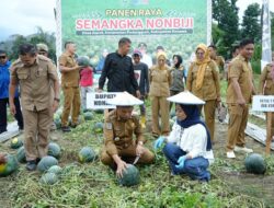 Bupati H. Yusran Akbar Hadiri Panen Raya Semangka Non Biji di Kecamatan Padangguni