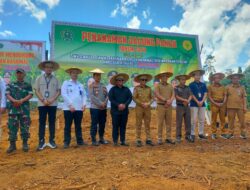 Dukung Asta Cita Presiden Prabowo, Bupati Konawe Canangkan Penanaman Jagung Hibrida Pakan