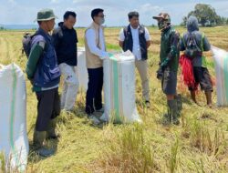 Dukung Semangat Konawe Bersahaja, Bulog : Harga Gabah Rp6.500/Kg yang Penting Memenuhi Standar