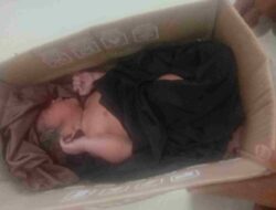 Tangisan Pagi di BTN Pucue : Warga Temukan Bayi Ditinggalkan di Kardus Bertuliskan “Teh Pucuk”