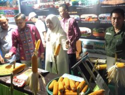 Memasuki Hari ke 4, Bupati Yusran Akbar Menyampaikan Apresiasi kepada Seluruh Pemdes dan Masyarakat yang Telah Berpartisipasi Aktif dalam Kegiatan Expo