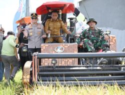 Panen 52 Hektare di Majjelling Wattang Bukti IP 300 Sukses Diimplementasikan