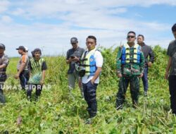 Peringatan Hari Juang TNI AD di Sidrap Diwarnai dengan Aksi Bersih Eceng Gondok