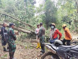 TRC BPBD Sidrap Tinjau Longsor di Leppangeng, 384 KK Terdampak