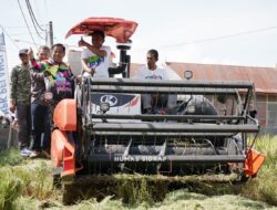 Dari Bulo Panca Rijang, IP 300 Sidrap Tunjukkan Hasil Nyata