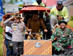Wujud Sinergi, Kapolres Sidrap Bersama Forkopimda Terjun Langsung Panen Padi IP 300