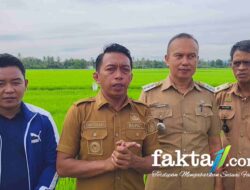 Bangkit dari Keterpurukan, Sidrap Tembus Tujuh Besar Layanan Publik Terbaik Sulsel