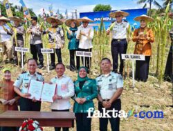 Dorong Kemandirian Produktivitas, Rumah Tahanan Negara Kelas IIB Unaaha menggelar Panen Raya