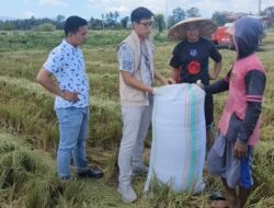 Bulog Unaaha Serap 6.587 Ton Gabah, Rata-rata 300 Ton per Hari