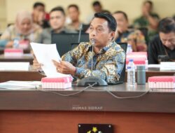 Satu Data Indonesia: Intip Sederet Masukan Bupati Sidrap untuk Baleg DPR RI