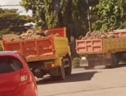 Negara Tak Lagi Berwibawa: Pembangkangan Massal Tambang Ilegal di Watang Pulu