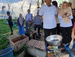 Ubah Hama Jadi Laba: Inovasi Pakan Alternatif Bupati Syaharuddin Alrif Dongkrak Ekonomi Peternak Sidrap