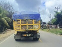 Konawe “Darurat” Legalitas Jalanan: Di Mana Taring Aparat Saat Truk Bodong dan Overload Merajalela?