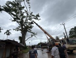 Peduli Keselematan, PT VDNI Turunkan Unit Crane untuk Antisipasi Pohon Rapuh di Desa Puuruy, Kecamatan Morosi