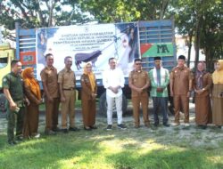 Fantastis! Sapi Kurban Presiden Prabowo Seberat 1.227 Kg Mendarat di Desa Tabanggele Konawe