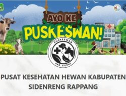 Pemkab Sidrap Luncurkan E-Puskeswan, Permudah Peternak Akses Layanan Kesehatan Hewan