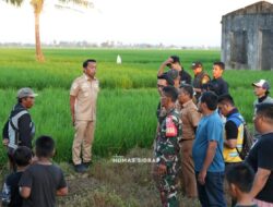 Pastikan Air Sawah Petani Aman di Musim Kemarau, Bupati Sidrap Cek Saluran Irigasi Saddang