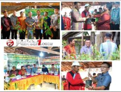 Wabup Konawe Serahkan Bantuan Bibit Durian, Perkuat Pengembangan Hortikultura di Kecamatan Onembute