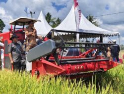 Transformasi Pertanian Sidrap: Bupati Syaharuddin Alrif Pimpin Panen Perdana IP300 di Pitu Riase