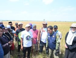 Pastikan Produksi Padi Aman, Bupati Sidrap Genjot Solusi Air untuk Petani
