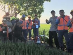 Bupati Sidrap Gerak Cepat Atasi Ancaman Kekeringan El Nino, Pinjamkan Genset PLN untuk Selamatkan Sawah Warga